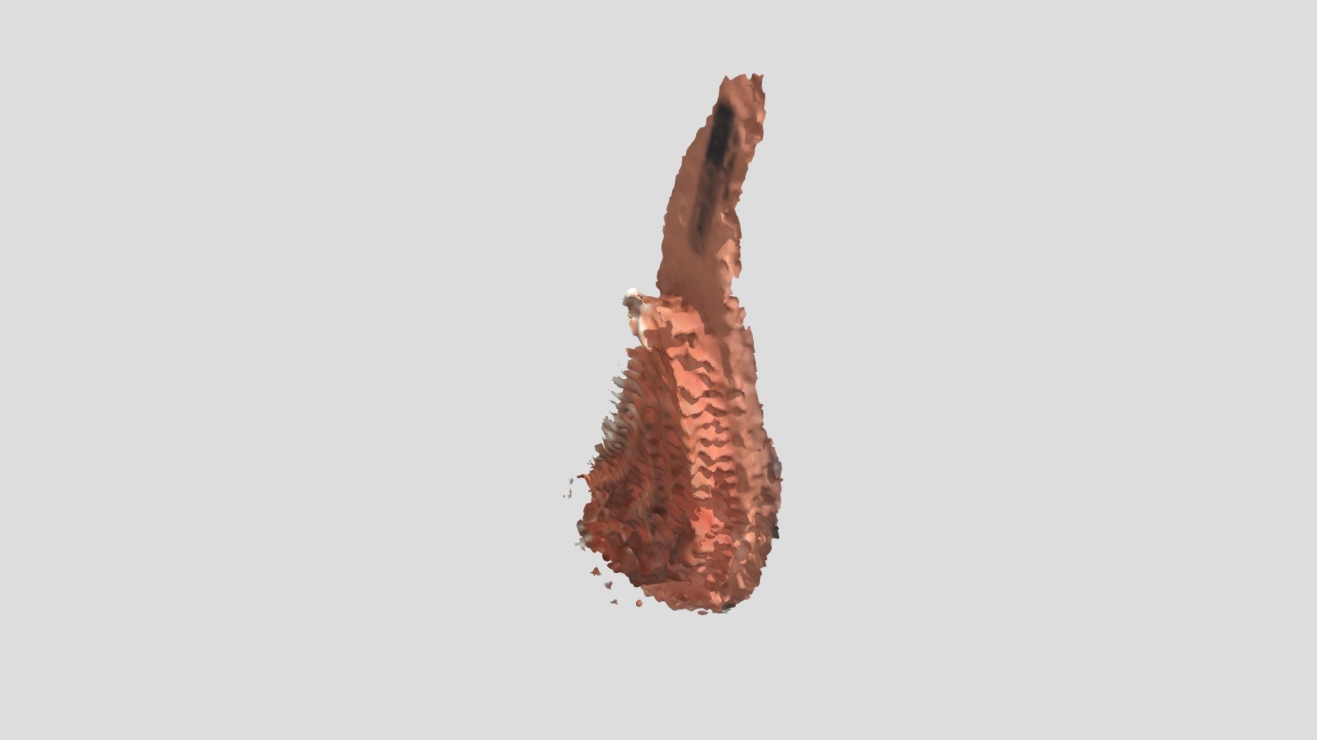 Brush