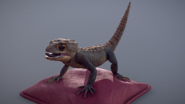 Crocodile Skink – Free 3D Model STL