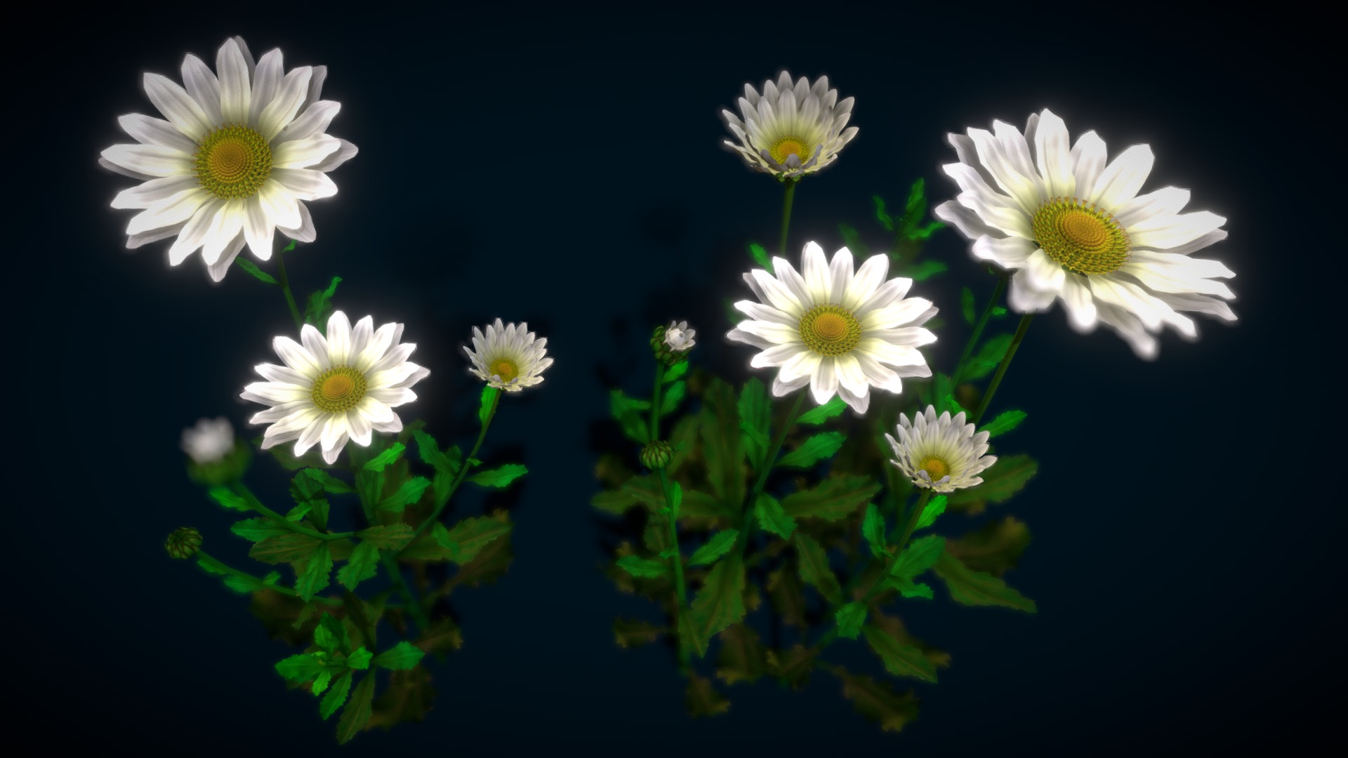 3D model Flower Latvia - This is a 3D model of the Flower Latvia. The 3D model is about a group of white flowers.