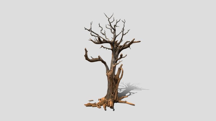 Gnarled Sentinel tree 3d model free
