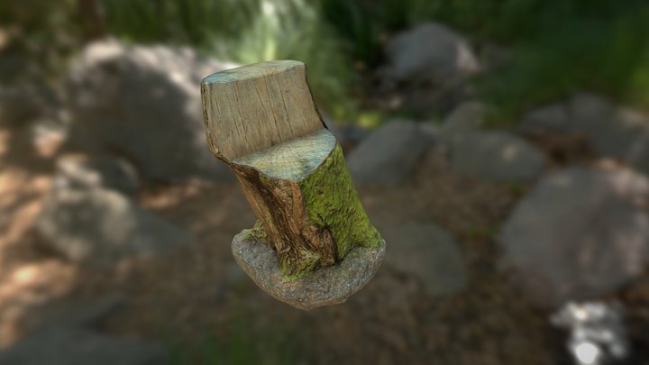 Tree photogrammetry 3D Model