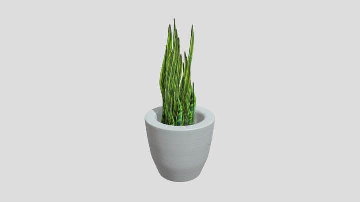 Potted plant with tall leaves 3D Model