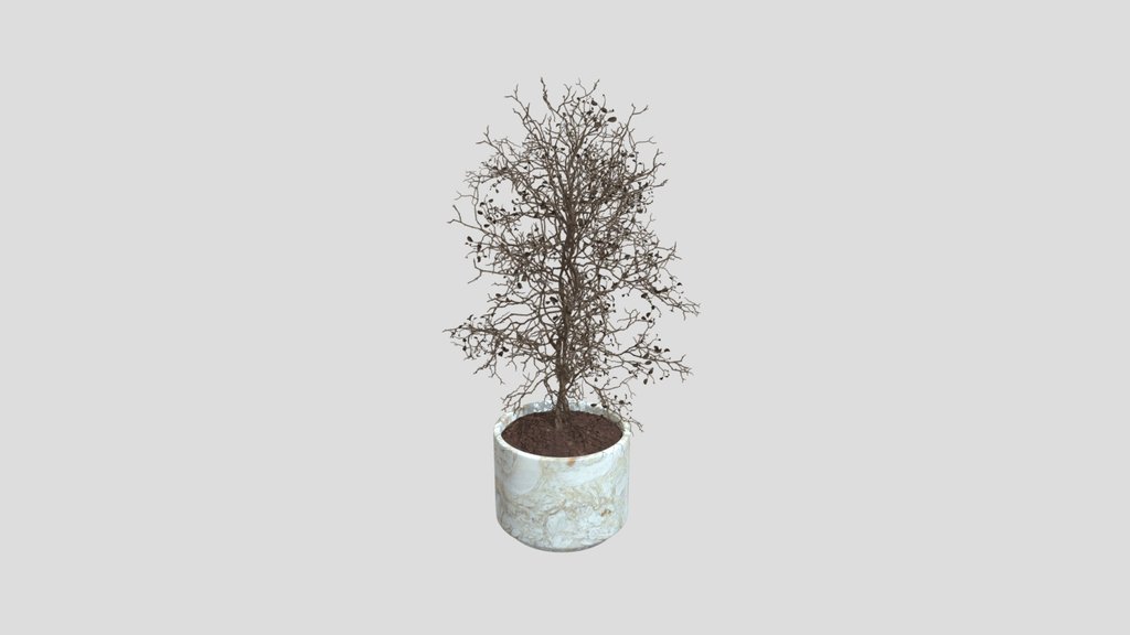 Dry Branch Tree Planter