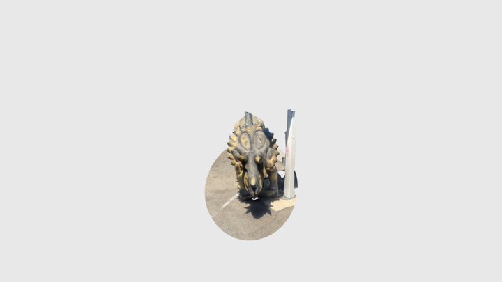 Random Triceratops 3D Model