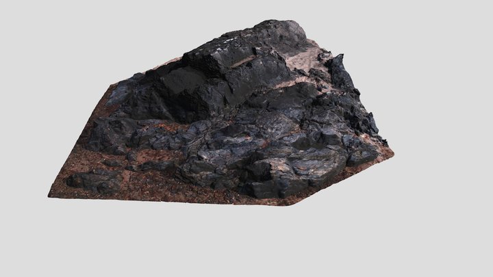 Large Beach Rock 3D Model