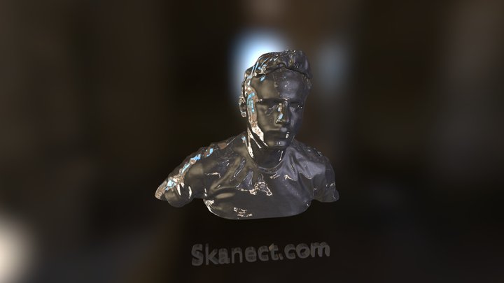 Face scan 3D Model