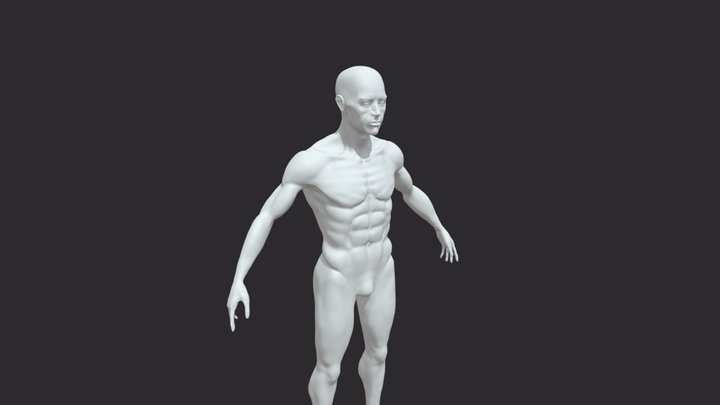 Base human 3D Model