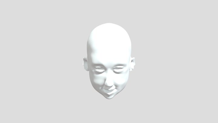 Chunky Head 3D Model