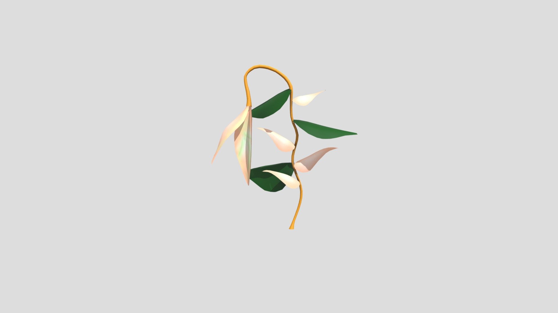 planta2VF1