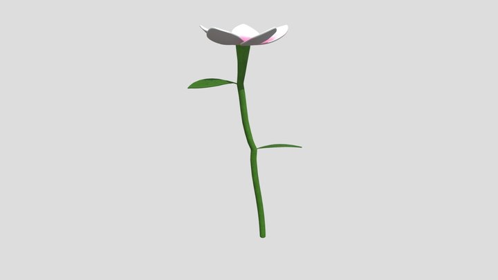 Flower_LD 3D Model