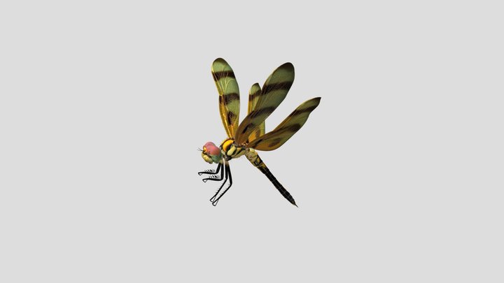 Golden Lattice Wings 3d model free – Modello 3D gratuito STL