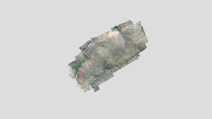 17 - 22- Minas Novas - Fazenda Baú 3D Model
