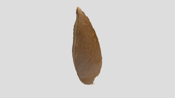 Mamey Sapote 3D Model