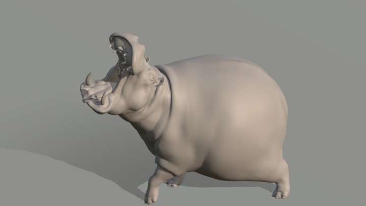 Hippopotamus 3D models - Sketchfab