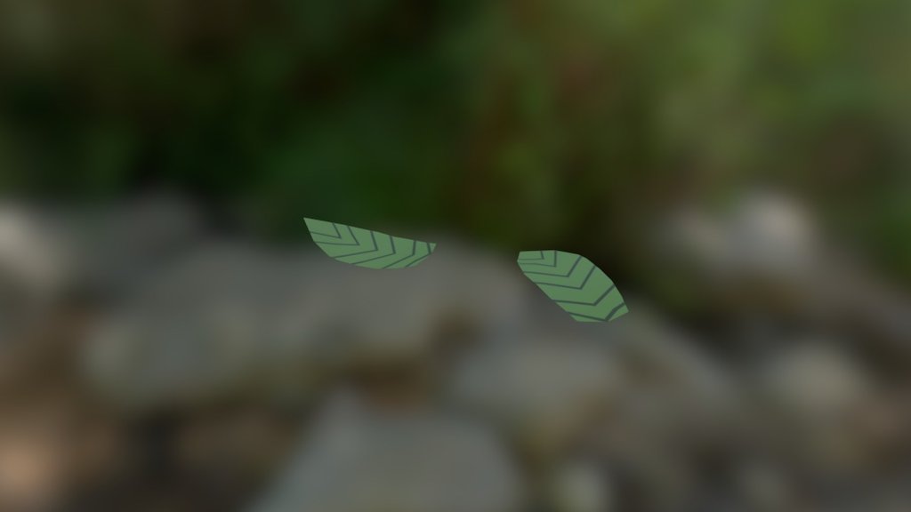 Leaves