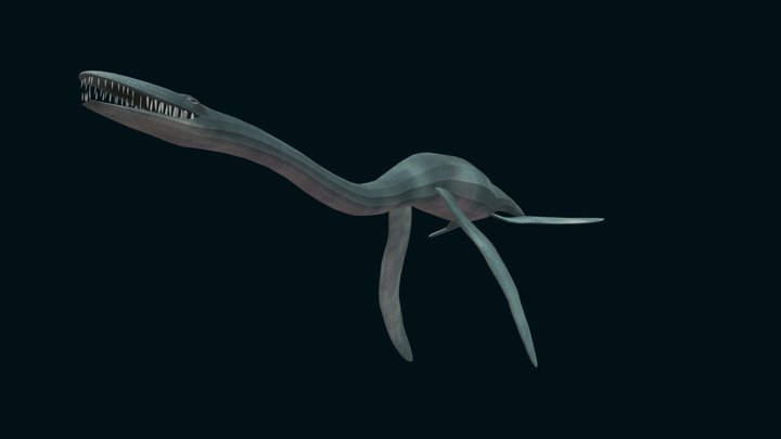 Plesiosaur animated 3D Model