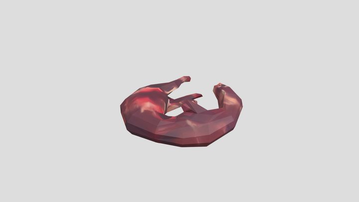Мясо ласки – Kostenloses 3D-Modell STL