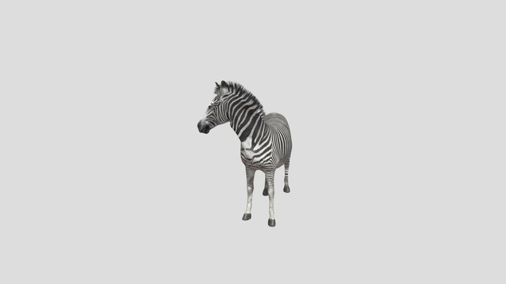 Zebra 3D Model