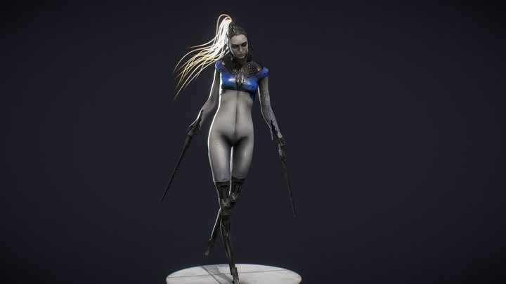 Assassin 3D Model