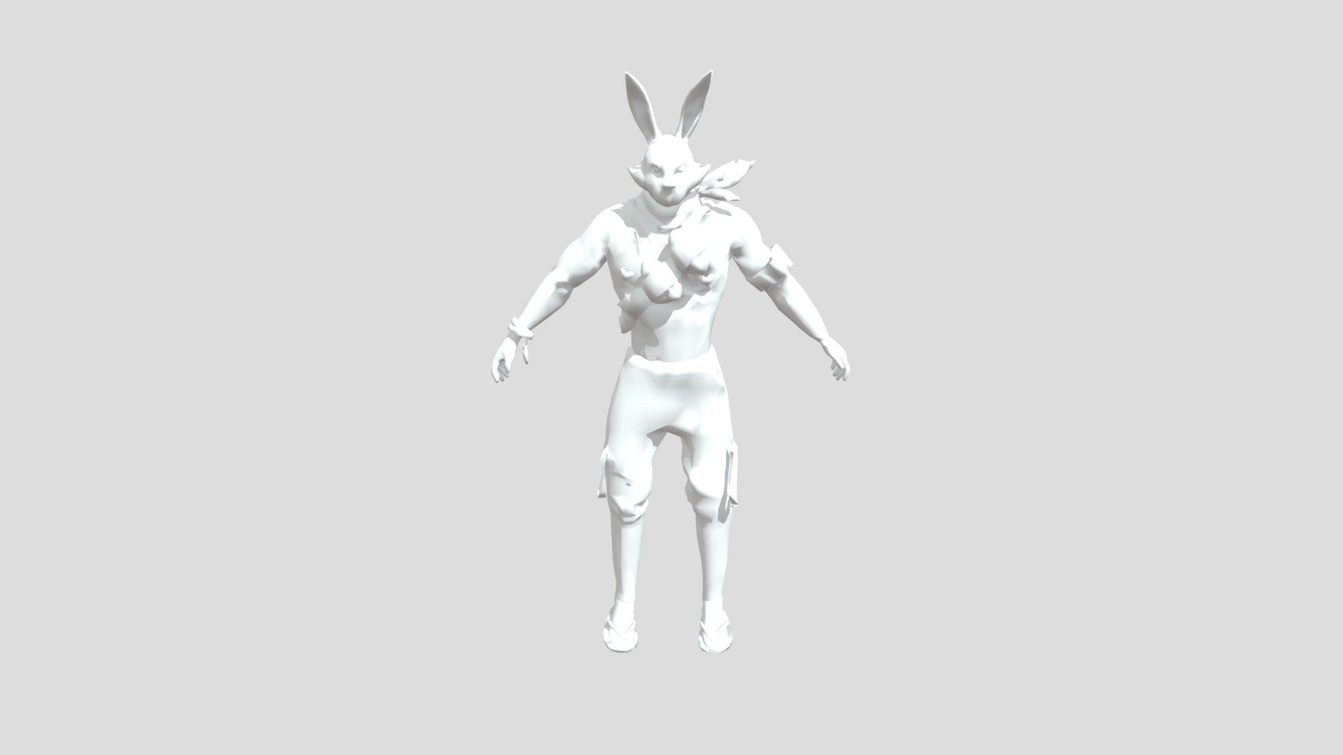 Raistar Bunny Bundel With Colour