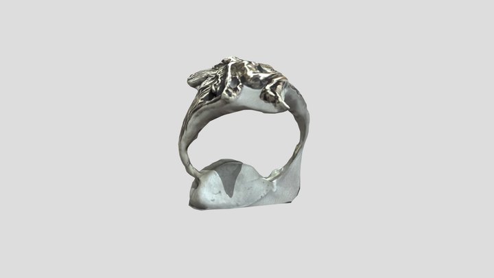 white background 3D Model