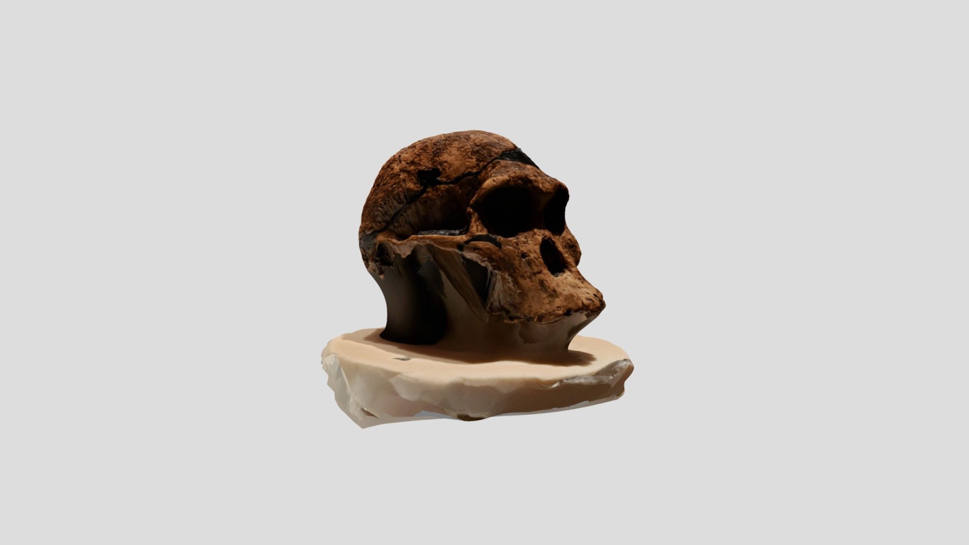 Skull1