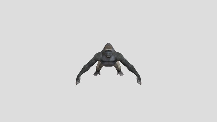King Kong Silverback Gorilla 8K- 3d animated 3D Model