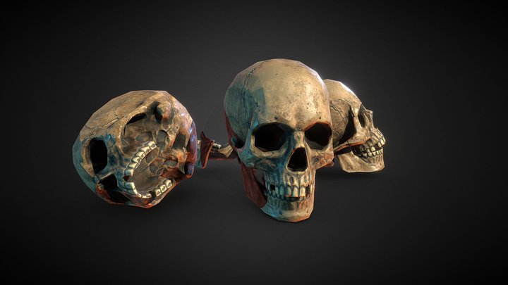 Human skull low poly 3D Model