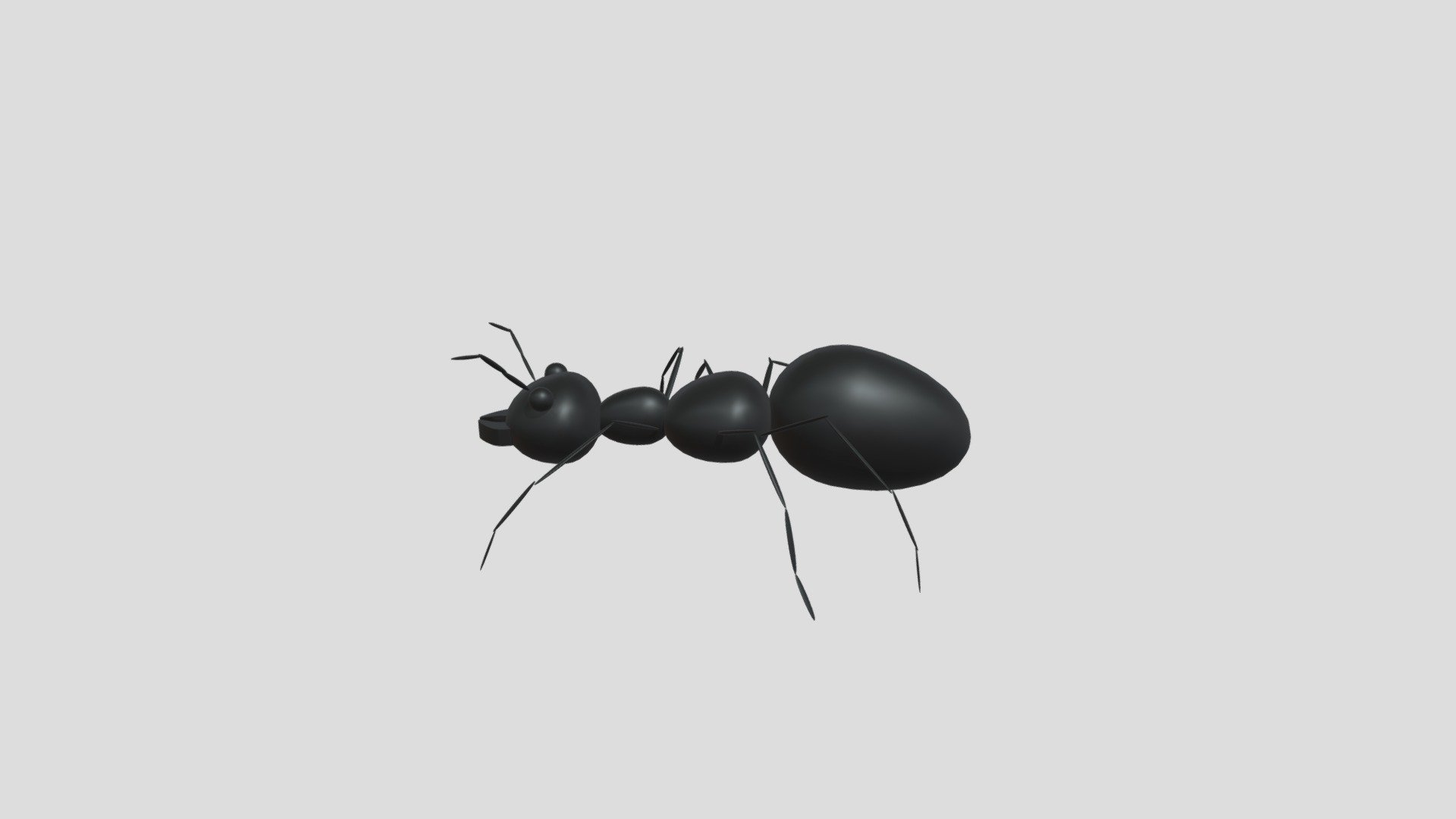 ANT in Motion_1