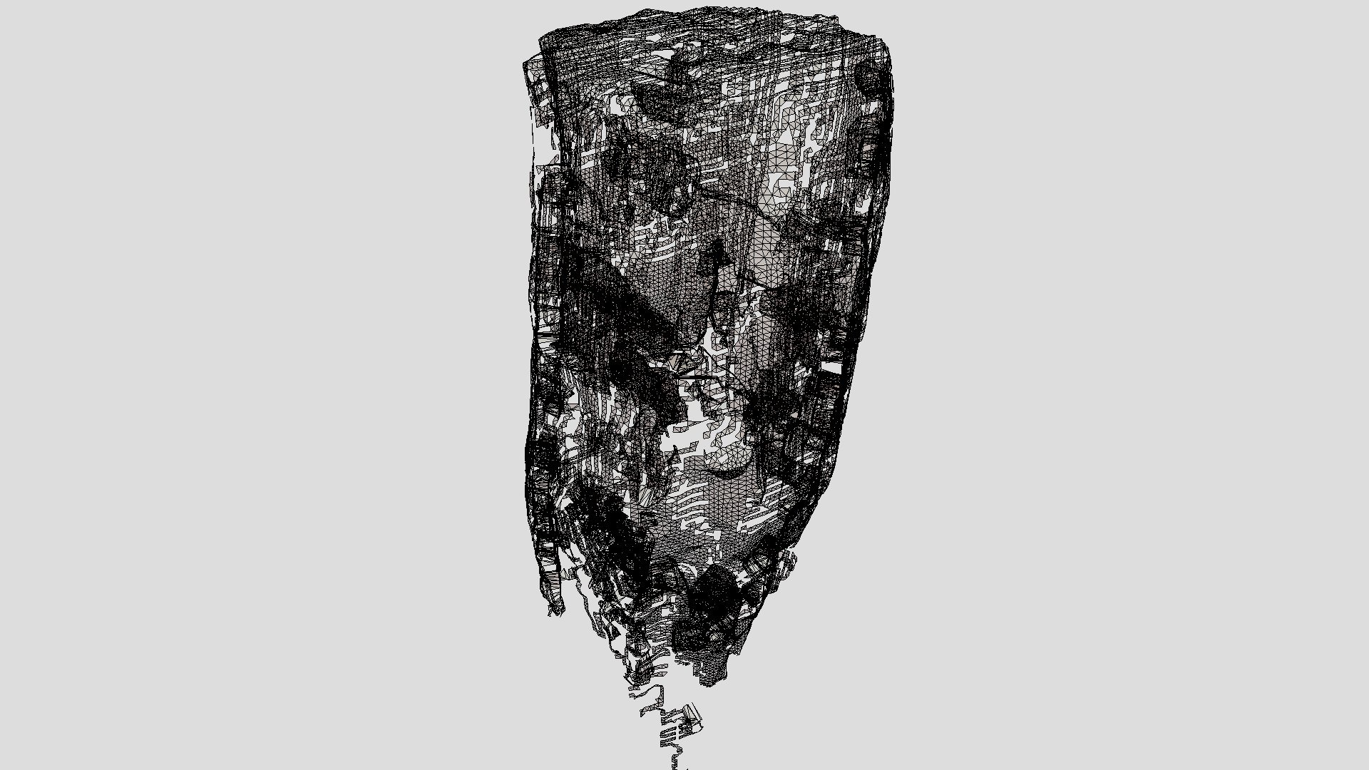 MicroCT image of lateral root of Kava