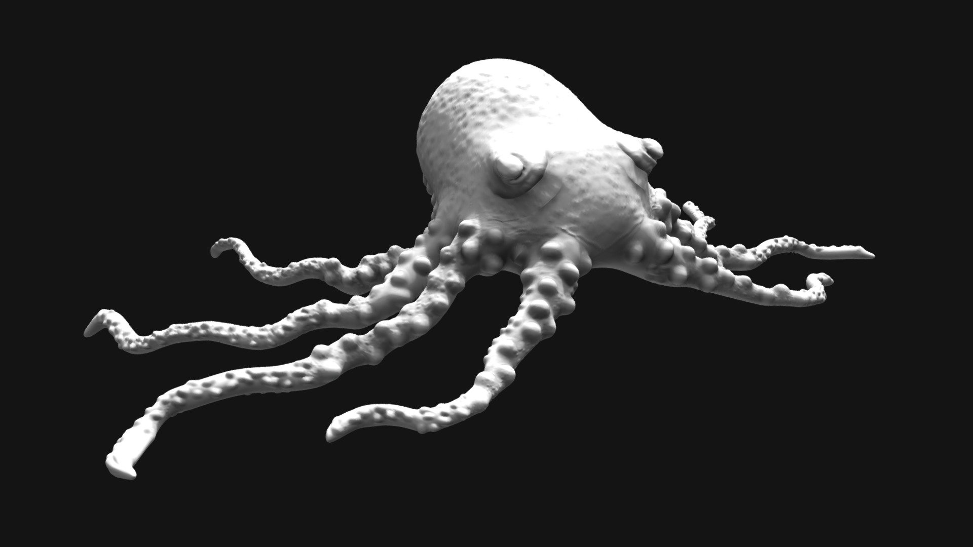 Octopus 2