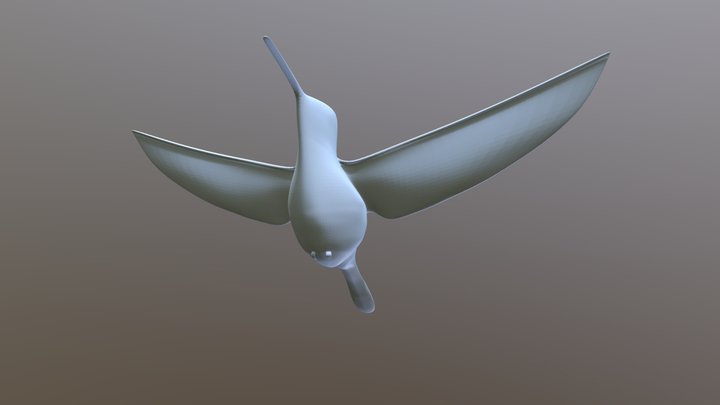 Hummingbird 3D Model