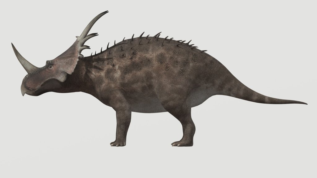 Accurate Styracosaurus