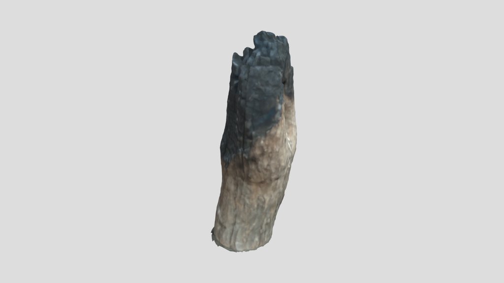 Firewood