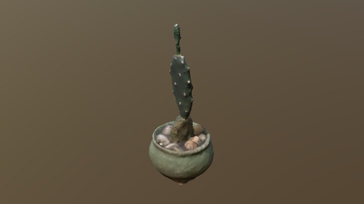 photogrammetry cactus 3D Model