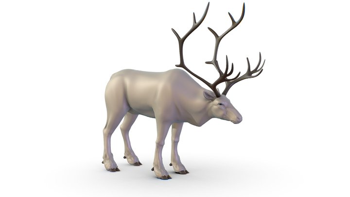 High Poly Realistic Reindeer 3D Model