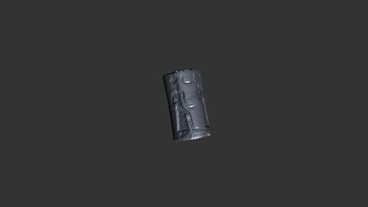 Cylinder Seal 2 3D Model