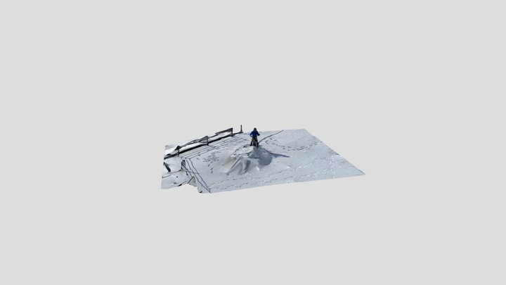 snow cycling 1 3D Model
