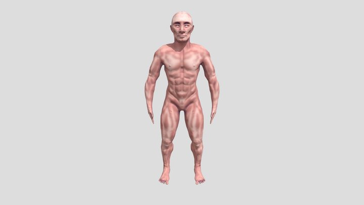 Bípedo 3D Model