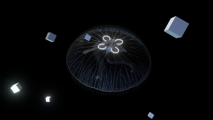 Simple Moon Jellyfish (Baked Animation) – Modello 3D gratuito STL