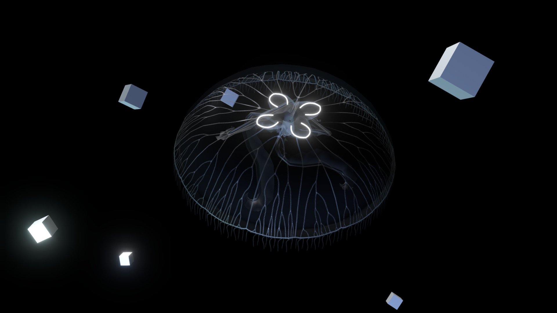 Simple Moon Jellyfish (Baked Animation) — Sketchfab embed 3D viewer