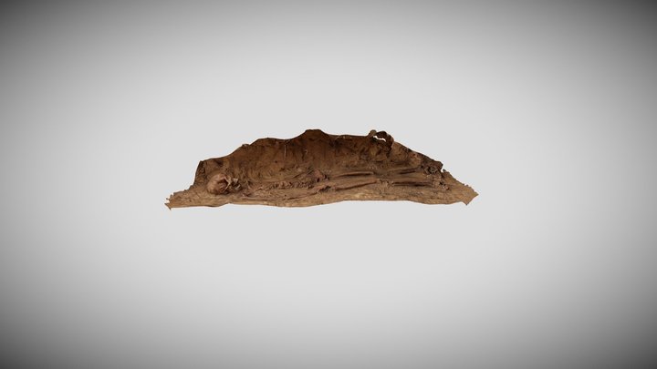 Pieńki - cmentarzysko ze stelami 3D Model