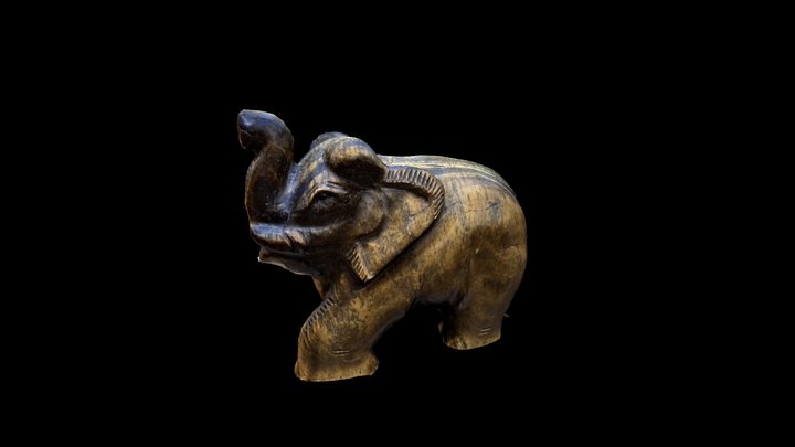 Elephant Outdoor Model 3D Model