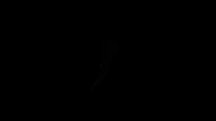 killer fish 3D Model