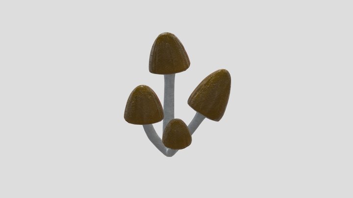 Mushrooms 3D Model