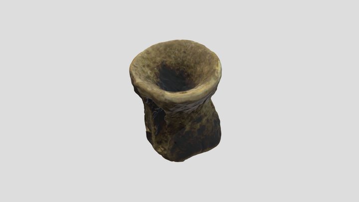 Bone_2014_o_1 3D Model
