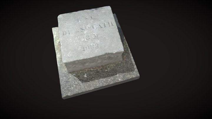 tour de roton 3D Model