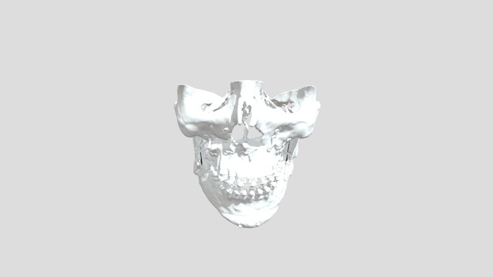Орлов 3D Model