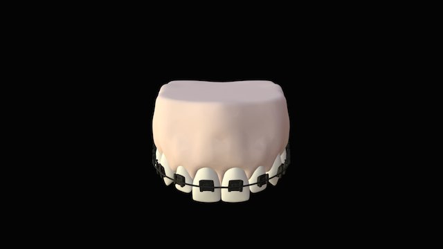 TAD-5 3D Model