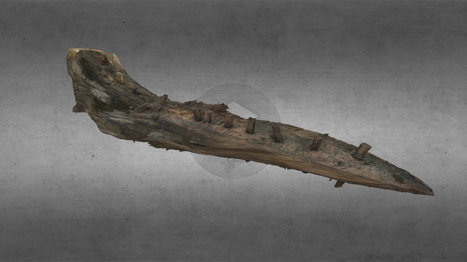 Skipsvrak, Træ 23
